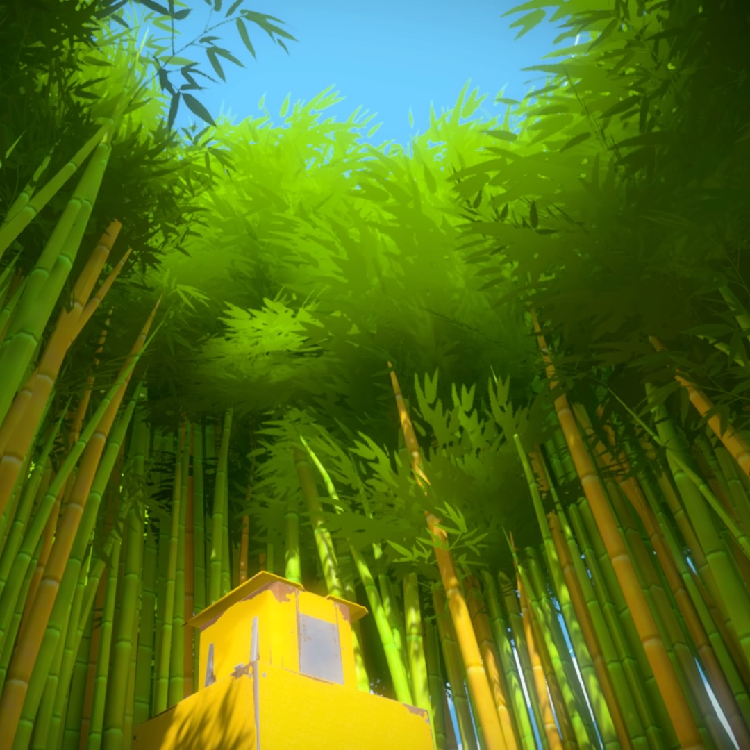 Bamboo Forest, The Witness.