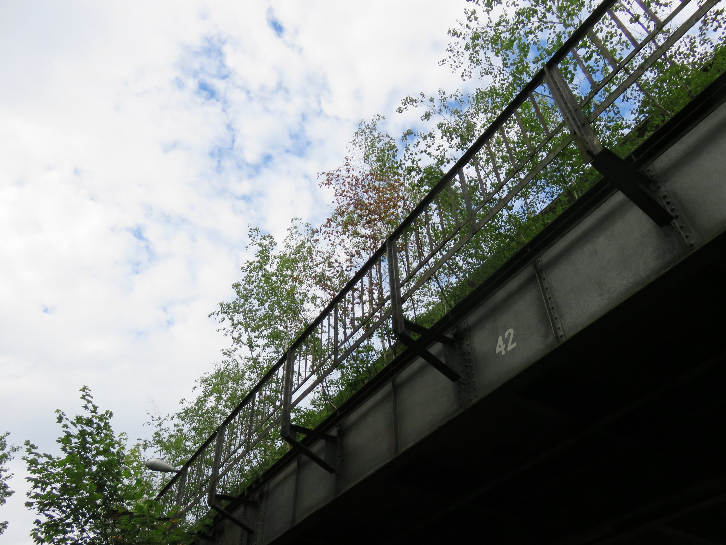 Trees growing on the abandoned tracks near the former Wernerwerk station, visible from street level.